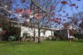 Property photo of 40 Menzels Road Bellbrae VIC 3228