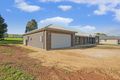 Property photo of 558 Rosedale Road Rosedale SA 5350