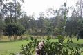 Property photo of 3 Roxburgh Road Wights Mountain QLD 4520