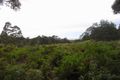 Property photo of 34 Mount Elephant Road Gray TAS 7215