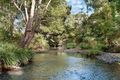 Property photo of 253 Brays Creek Road Tyalgum NSW 2484