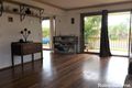 Property photo of 38 Shoreham Street Pialba QLD 4655