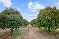 Property photo of 170 Bastin Road Howard Springs NT 0835