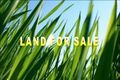 Property photo of 35 Stoney Creek Circuit Ormeau QLD 4208