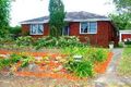 Property photo of 8 Willunga Crescent Forestville NSW 2087