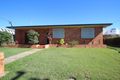 Property photo of 49 Main Street Pialba QLD 4655
