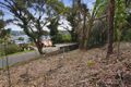 Property photo of 84 Wallumatta Road Newport NSW 2106