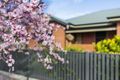 Property photo of 54 Mayfield Avenue Hectorville SA 5073