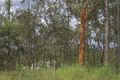 Property photo of 92 Blackwall Road Chuwar QLD 4306