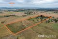 Property photo of 684 Borah Creek Road Quirindi NSW 2343