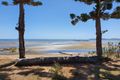 Property photo of 38 Murray Road St Helens Beach QLD 4798