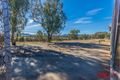 Property photo of 501 Back Kootingal Road Nemingha NSW 2340