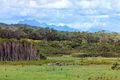 Property photo of 1642 Palana Road Emita TAS 7255