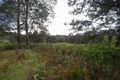 Property photo of 34 Mount Elephant Road Gray TAS 7215