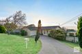 Property photo of 15 Darrell Avenue Wattle Park SA 5066