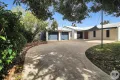 Property photo of 12 Kauri Court Kirwan QLD 4817