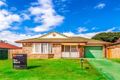 Property photo of 11 Chevrotain Place Chermside West QLD 4032