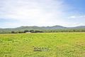 Property photo of 474 Top Eureka Road Dimbulah QLD 4872