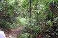 Property photo of 1253 Pullom Road Nerada QLD 4860