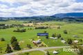 Property photo of 35695 Tasman Highway Springfield TAS 7260