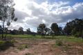 Property photo of 5 Halter Court Junortoun VIC 3551