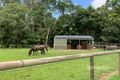 Property photo of 38 Lindsay Road Carmoo QLD 4852