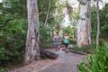 Property photo of LOT 113 Flagship Drive Trinity Beach QLD 4879
