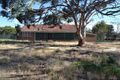 Property photo of 43 Mitchell Street Cunderdin WA 6407