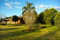 Property photo of 126 Simpson Street Wellington NSW 2820