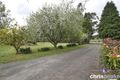 Property photo of 91 Quamby Road Guys Hill VIC 3807