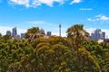 Property photo of 8/2A Bradley Street Randwick NSW 2031