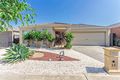 Property photo of 13 Cadell Avenue Tarneit VIC 3029