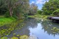 Property photo of 377 Piggabeen Road Cobaki Lakes NSW 2486