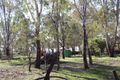 Property photo of 82 High Street Violet Town VIC 3669