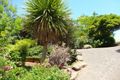Property photo of 34 Somerset Crescent Mansfield VIC 3722