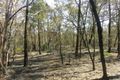 Property photo of 919 Mollyan Road Binnaway NSW 2395
