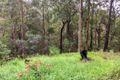 Property photo of 145 Nancol Drive Tallebudgera Valley QLD 4228