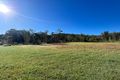 Property photo of 32 Botanic Drive Kew NSW 2439