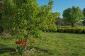 Property photo of 58 Witton Place Orange NSW 2800