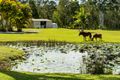 Property photo of 131 Arcoona Road Coolum Beach QLD 4573