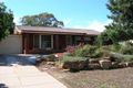 Property photo of 11 Dove Street Mount Austin NSW 2650