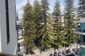 Property photo of 17/17 Colley Terrace Glenelg SA 5045