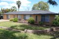 Property photo of 8 Grove Street Modbury SA 5092