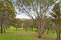 Property photo of 105 Glendiver Road The Oaks NSW 2570