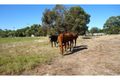 Property photo of 448 Nicholson Road Forrestdale WA 6112