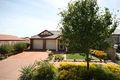 Property photo of 22 Merchant Avenue Mitchell Park SA 5043