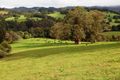 Property photo of 1717 Deer Vale Road Deer Vale NSW 2453
