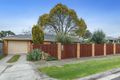 Property photo of 46 Kershaw Street Mordialloc VIC 3195