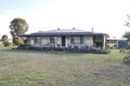 Property photo of 34 Domain Close Mendooran NSW 2842