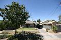 Property photo of 7 Carramar Avenue Edwardstown SA 5039